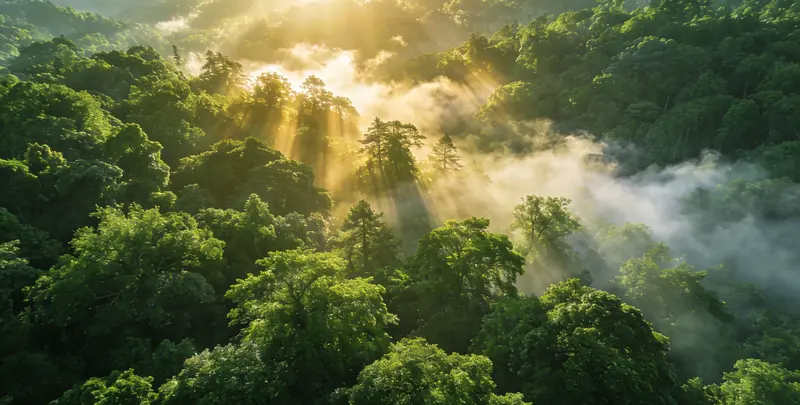桂林肺癌靶向39基因检测及PDL122C3表达检测套餐（组织）图片1